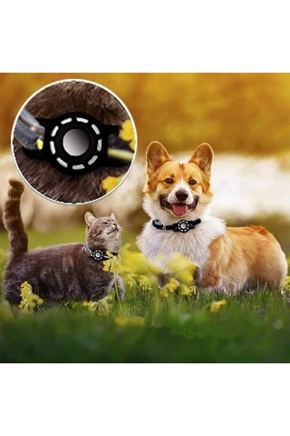 İçin Kedi Tasması, 2 Paket Kedi Yaka Tutacağı, Silikon Su Geçirmez Ayrılabilir Güvenlik Tokası Desenli Kedis Tasması, Küçük Evcil Hayvanlar Yavru Kedis İçin Uygun Siyah + Mavi