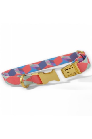Caramelos Köpek Tasması-küçük Irk Ve Orta Irk İsimli Tasma 14