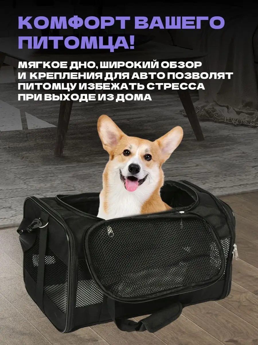 Bobrıkgora Katlanabilir Kedi Ve Köpek Taşıma Çantası 166074194