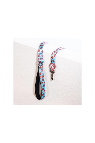 Pawstar Bears Leash Kedi Köpek Sevk & Gezdirme Kayışı Köpek Uzatma Tasması Turkuaz