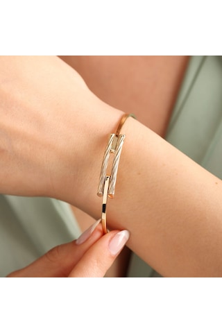 Altın Kaburga Kelepçe Iki Sıra Burgu Form N11.4809