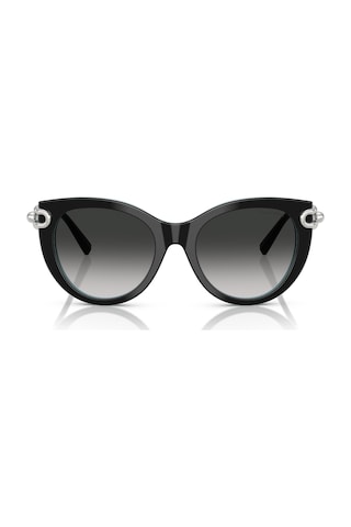 Tf 4232 80553c 53 Tiffany & Co. Güneş Gözlüğü Siyah