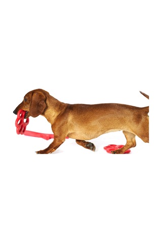 Orma Büyük Köpek Oyuncağı Sarı