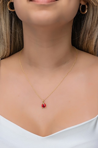 Nereze 925 Ayar Gümüş Gold Kırmızı Mineli Uğur Böceği Kolye
