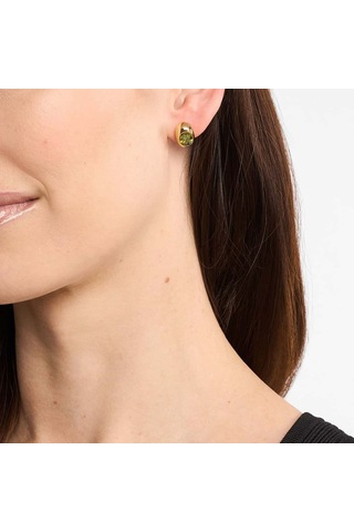 Michael Kors Mkj8554-710 Kadın Küpe Altın