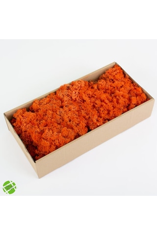 Trend Bahçe Reindeer Moss Turuncu Şoklanmış Norveç Yosunu 500 G