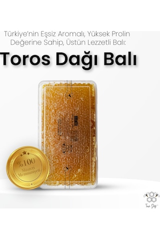 Toros Dağı Karakovan Balı 600 G