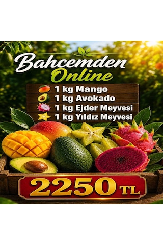 Tropikal Meyve Paketi