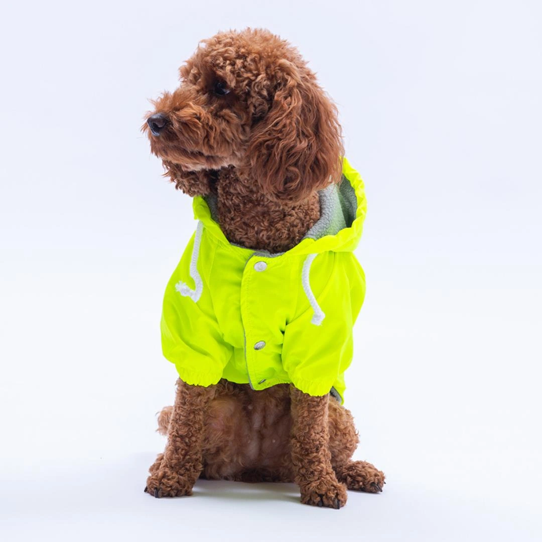 Neon Sarı Mont Köpek Mont Köpek Kıyafeti Köpek Yağmurluğu Küçük Ve Büyük Irklar İçin