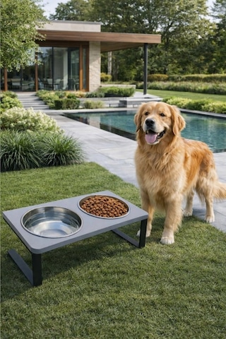 Reyo Ok-ay Store Radessa Xl Yüksek Standlı Çift Hazneli Mama Ve Su Kabı, Büyük Ve Orta Boy Köpek Ve Kedi Su Kabı Paslanmaz Çelik Gri