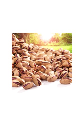 Alper Tunga Kabuklu Antep Fıstığı 500 G