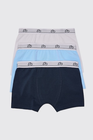 Panço Erkek Çocuk 3'lü Multi Boxer Seti 2602bk14002 Renkli