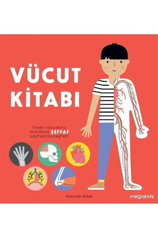 Vücut Kitabı (CİLTLİ) Vücut Kitabı (CİLTLİ)