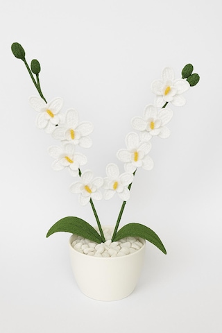 Orkide El Yapımı Örgü Hediye