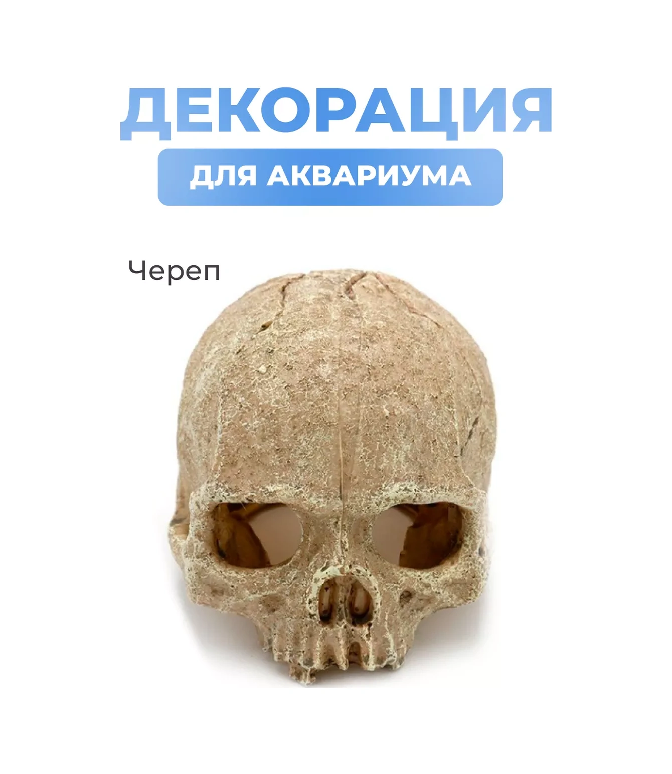 Petsroom Akvaryum - Teraryum Dekorasyonu - Kafatası Mağarası 165847212