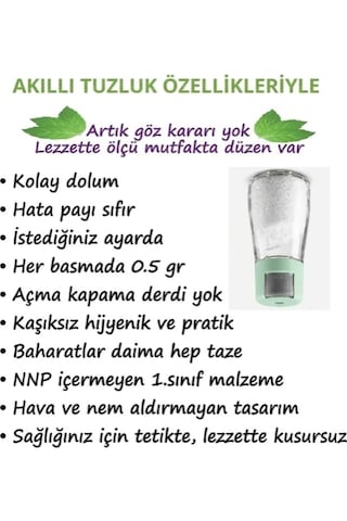 Akıllı Tuzluk+2 Paket Kaya Tuzu Açık Yeşil