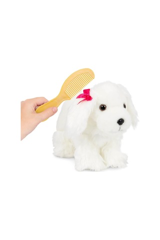 Pucci Pups Maltese