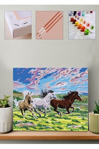 Sayılarla Boyama Seti 40x50 Cm