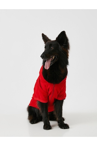 Koton Love Dog Kapüşonlu Sweatshirt Kırmızı 2wal10188ık Kırmızı