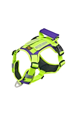 Interlaken Harness Köpek Göğüs Tasması Neon Yeşil Mor XL Neon Yeşil Mor