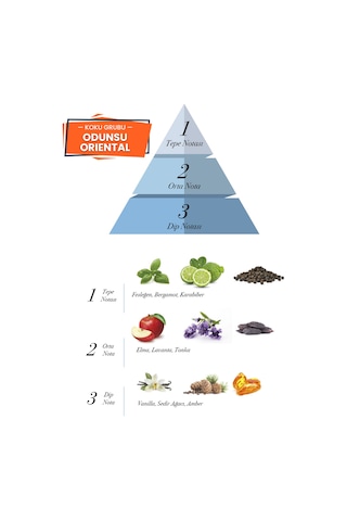 Prova Army Odunsu Erkek Parfüm EDP 100 ML