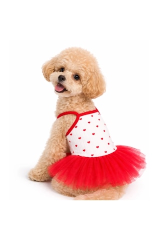 Love - Kırmızı Tütü Kedi Köpek Elbise