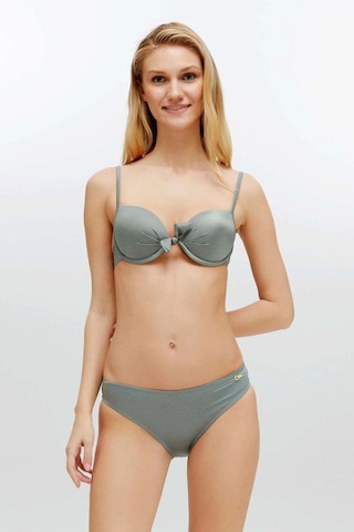 U.S. Polo Assn. Kadın Haki Bikini Takım