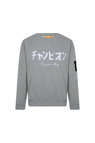 Superfly Men Sweat-1 Gri Erkek Sweatshirt 000000000101391112 Gri