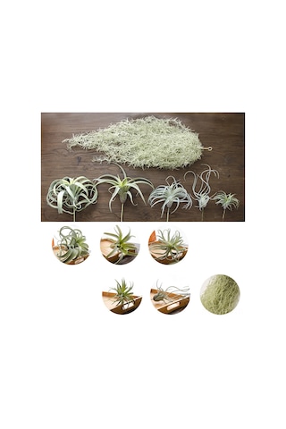 Geeroyoo Yapay Ananas Çimi Dekoratif Bitki - 6 Çeşit Plastik Ev Ofis Süsü