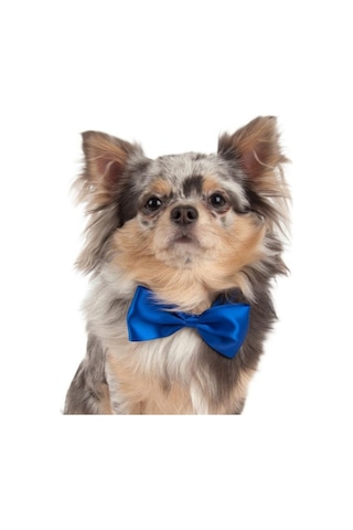 Show Tech Kedi Köpek Renkli Papyon Aksesuar 10 Adetli Paket