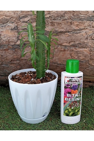 Bitki Besini 3'lü Set Genel Bitki Besini Çiçek Açtıran Yeşil Yapraklı Bitki Vitamini Gübre 1 kg