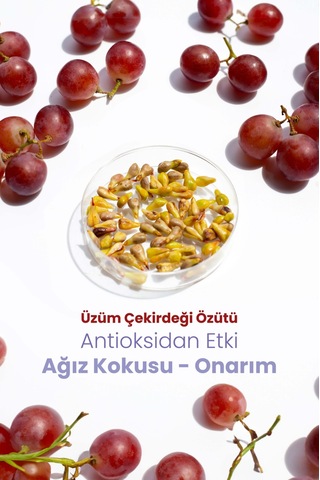 Probident Aktif Probiyotikli Üzüm Çekirdeği Özüt İlaveli Diş Macunu 3 x 75 ML