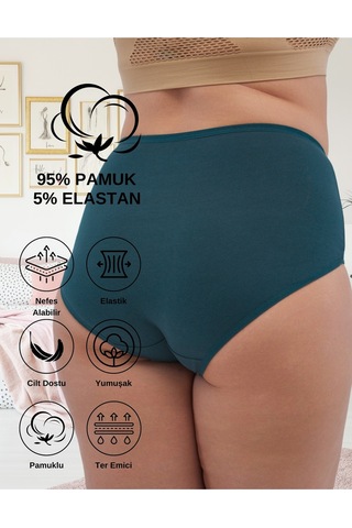 Alya Underwear Kadın Büyük Beden Külot Battal Full Brief, Yüksek Bel 5xl, 6xl, 7xl 5 Farklı Renk 1 Pakette Çok Renkli-p24