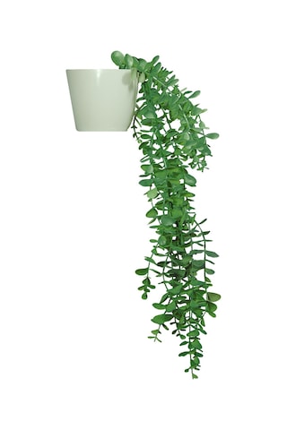 Yapay Çiçek Parlak Beyaz Saksıda Yeşil Okaliptus Sarkıtı Yeşil