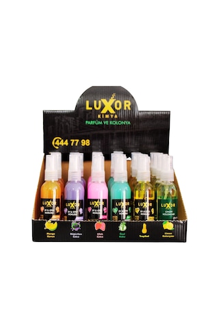 Luxor 24 Adet 50 ML Ev & Oto Koku Seti Özel Kutulu