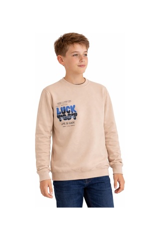 Baglan Erkek Çocuk Önü Arkası Baskılı Sweatshirt Bgl-st05237 Taş