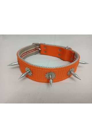 Kozaklı 10458 Çivili Süslü Köpek Tasması Turuncu 70 x 4 CM Turuncu