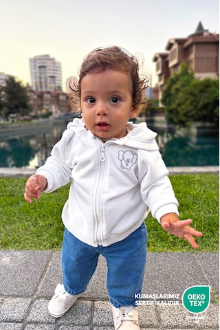 Bebek/cocuk Nakış Detaylı Fermuarlı Sweatshirt Gri