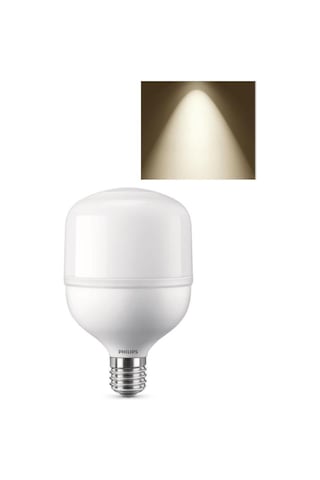 Philips TrueForce Core 24W Torch Led Ampul Cool White Günışığı 40