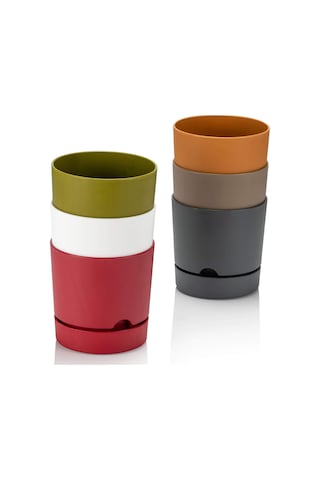 Poliwork Begonya 12 Cm Renkli Plastik Tabaklı Saksı