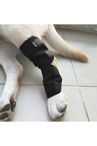 Homyl Artrit Yara İyileştirmesinden Kaynaklanan Stabilite Xl