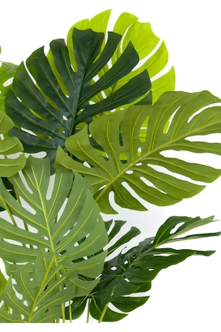 Biçiçek Yapay Monstera Ağacı Deve Tabani 170 Cm Si̇yah Gold Darbuka Saksıda