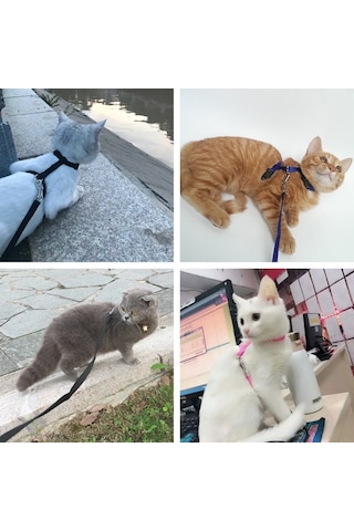Kedi Göğüs Tasma Düz Renk 1x120 CM