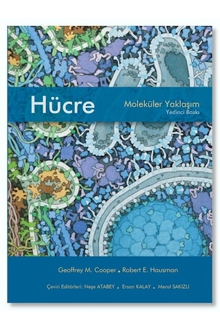Hücre Moleküler Yaklaşım 7. Baskı  Ciltsiz