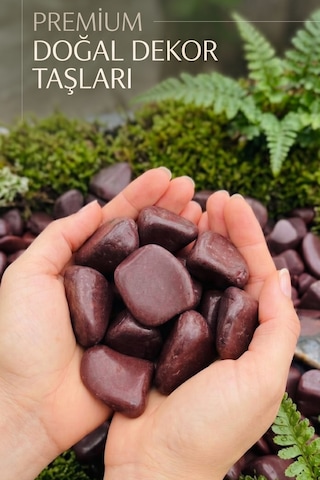 Kırmızı Dolomit Taşı 5 Kg 4-6 Cm Doğal Dekoratif Bahçe Peyzaj Saksı Teraryum Akvaryum Taşı