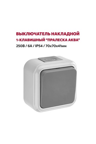 Bylectrıca Tek Klavyeli Yüzey Montajlı Anahtar, Ip54, Gri 235462159