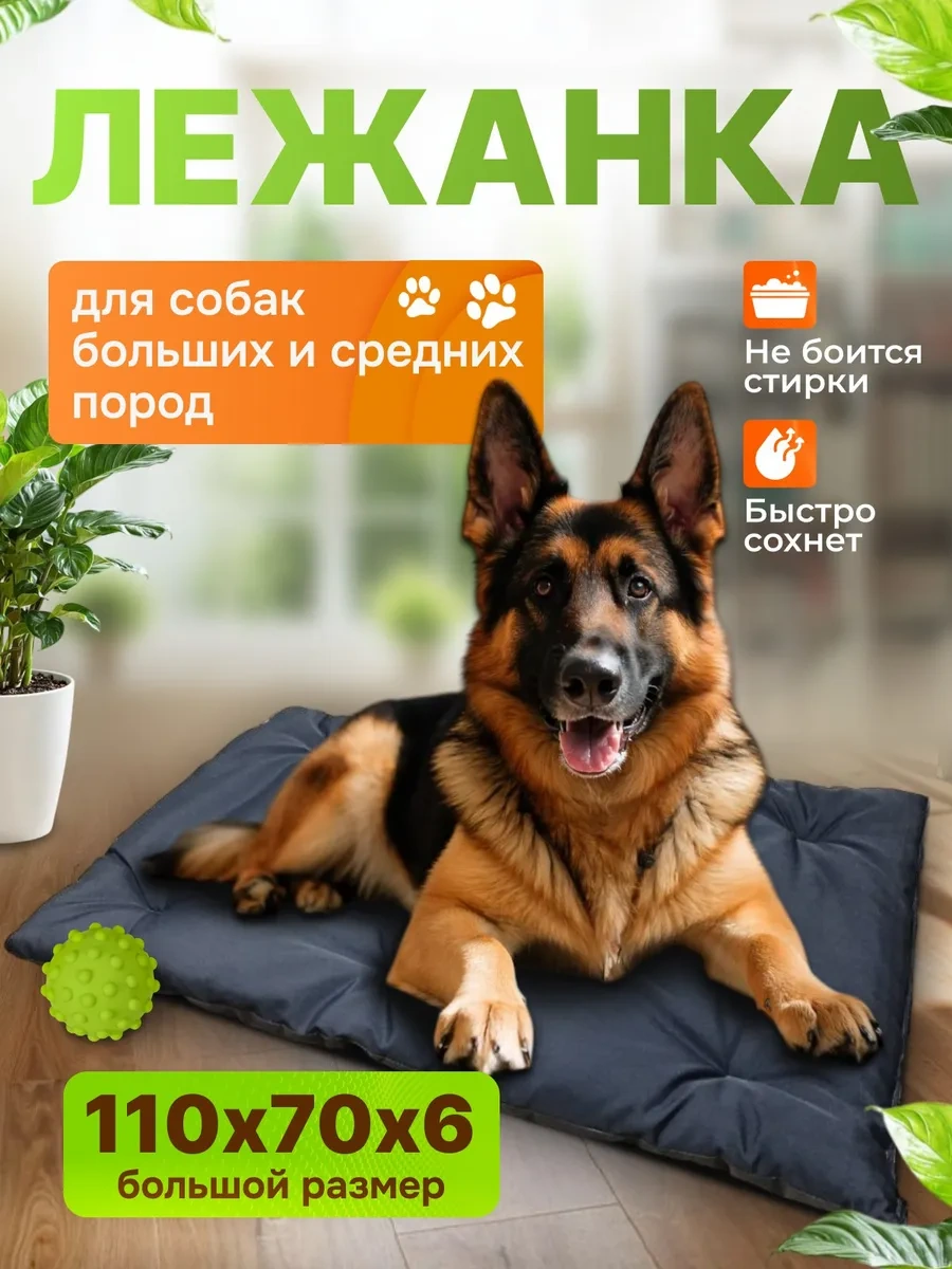 Gurenkot Köpek Yatağı 250338476