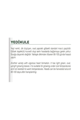 AGRodal Tarım Ata Tohumu Yerli Doğal Marul Yedıkule 1000 Ad Tohum