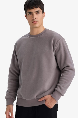 Defacto Relax Fit Bisiklet Yaka Polar Sweatshirt F3685ax25wngr308 Gri-gr308