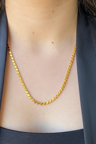 14 Ayar Altın 3.5 Mm Pullu Zincir Kolye